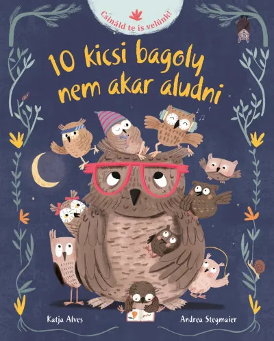 Gyors szállítás 10 kicsi bagoly nem akar aludni
