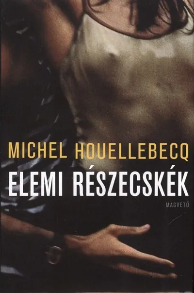 Elemi részecskék Vásárlói kedvenc