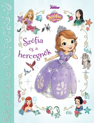 Expressz kézbesítés Disney Junior - Szófia és a hercegnők