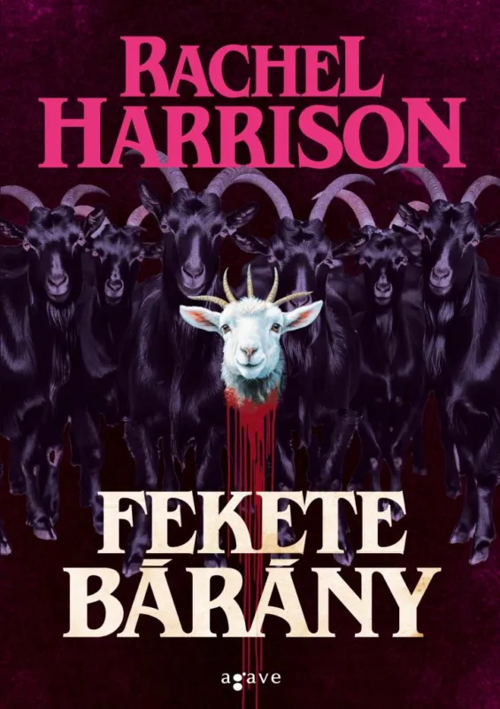 Népszerű Fekete bárány