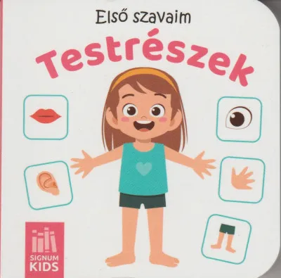 Kiárusítás Első szavaim - Testrészek