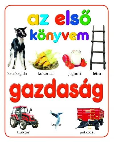 Expressz kézbesítés Gazdaság - Az első könyvem