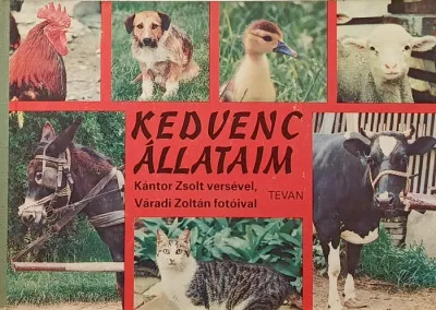 Kedvenc állataim Prémium
