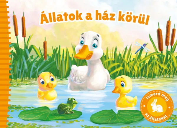 Ismerd meg az állatokat - Állatok a ház körül Biztonságos fizetés