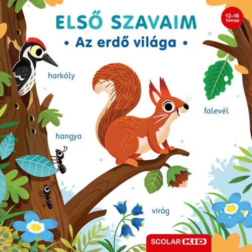 Népszerű Első szavaim - Az erdő világa