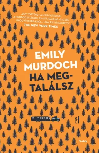 Bestseller Ha megtalálsz - E-könyv