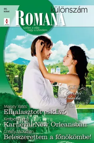 Bestseller Romana különszám 86. - E-könyv