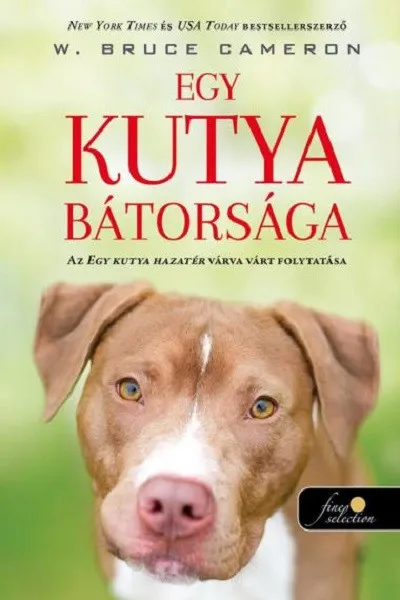 Egy kutya bátorsága - Egy kutya hazatér 2. Nézd meg most