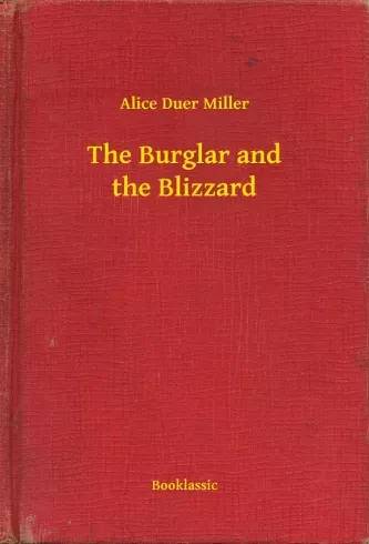Kedvezmény The Burglar and the Blizzard - E-könyv