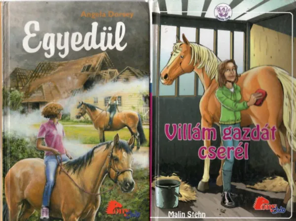 2 db PonyClub: Egyedül + Villám gazdát cserél Árcsökkenés