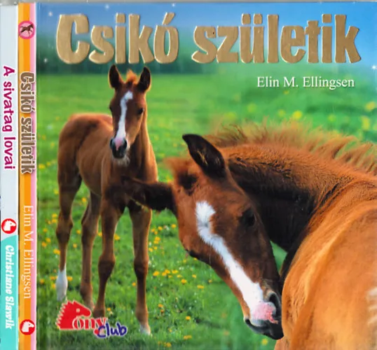 2 db. PonyClub (A sivatag lovai + Csikó születik) Újdonság