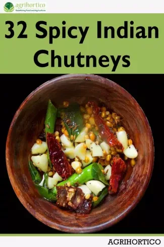 32 Spicy Indian Chutneys - E-könyv Árcsökkenés
