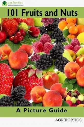 Azonnali szállítás 101 Fruits and Nuts - E-könyv