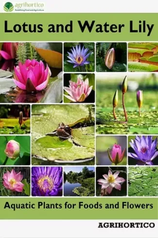 Lotus and Water Lily - E-könyv Vedd meg most