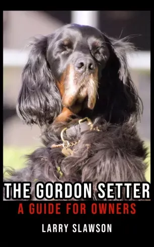 Szuper akció The Gordon Setter - E-könyv