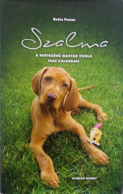 Nézd meg most Szalma - A drótszőrű magyar vizsla igaz kalandjai