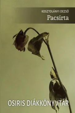 Pacsirta Expressz szállítás