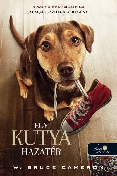 Rendeld meg most Egy kutya hazatér - filmes borító