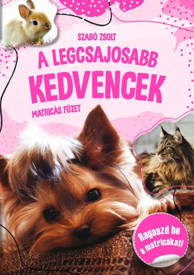 A legcsajosabb kedvencek - matricás füzet Ne maradj le