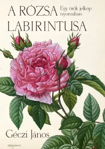 Csak ma A rózsa labirintusa - E-könyv
