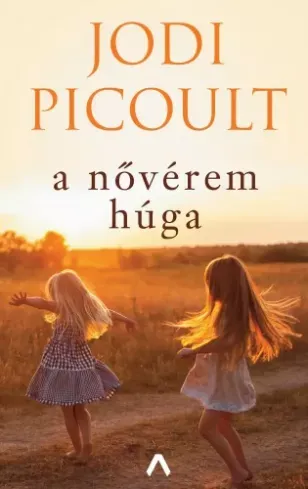 Gyors kiszállítás A nővérem húga - E-könyv