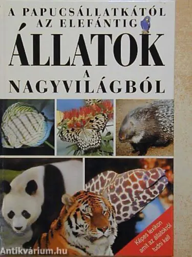 Biztonságos vásárlás Állatok a nagyvilágból A PAPUCSÁLLATKÁTÓL AZ ELEFÁNTIG