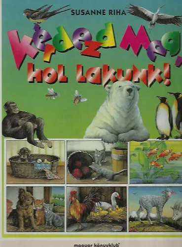 Legkelendőbb Kérdezd meg, hol lakunk!