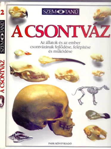 A csontváz (Az állatok és az ember csontvázának fejlődése, felépítése és működése - Negyedik kiadás) Biztonságos fizetés