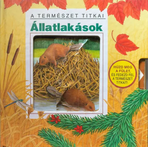 Korlátozott ajánlat Állatlakások (A természet titkai)