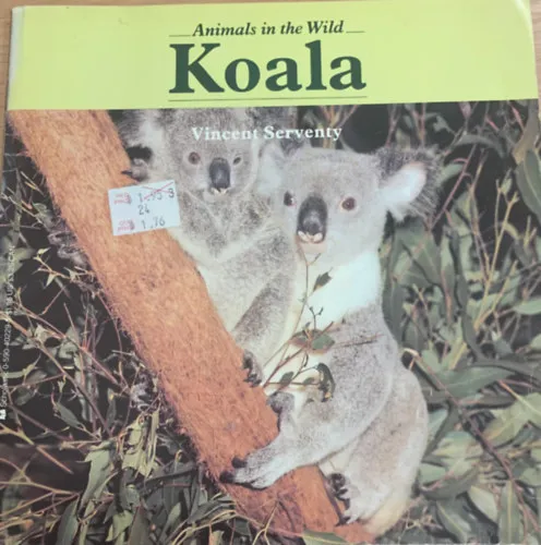 Animals in the Wild: Koala Végkiárusítás