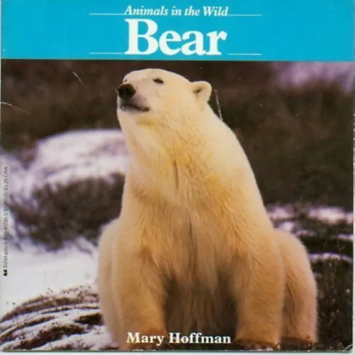 Animals in the wild - Bear Korlátozott ajánlat