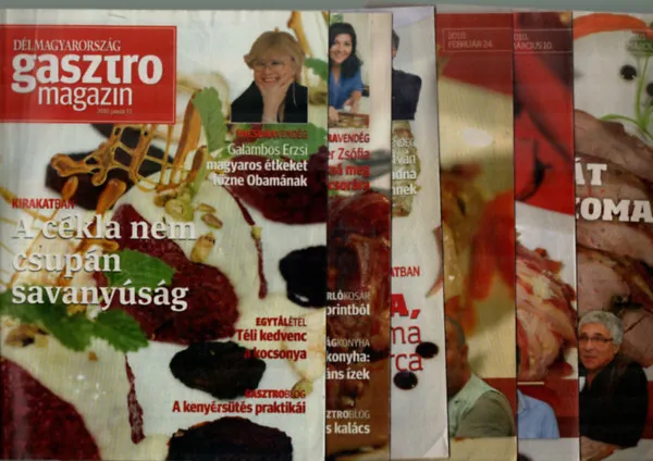 25 db Délmagyarország Gasztro magazin 2010. év Biztonságos fizetés