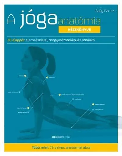 A jógaanatómia kézikönyve - 30 alappóz elemzésekkel, magyarázatokkal és ábrákkal Alacsony ár