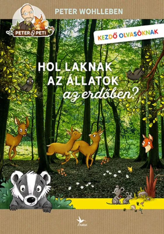 Hol laknak az állatok az erdőben? Exkluzív ajánlat
