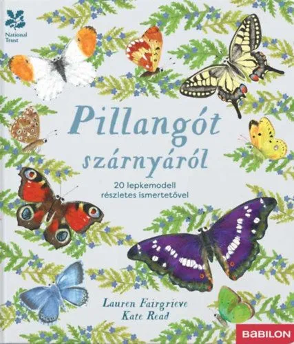 Pillangót szárnyáról - 20 lepkemodell részletes ismertetővel Gyors szállítás