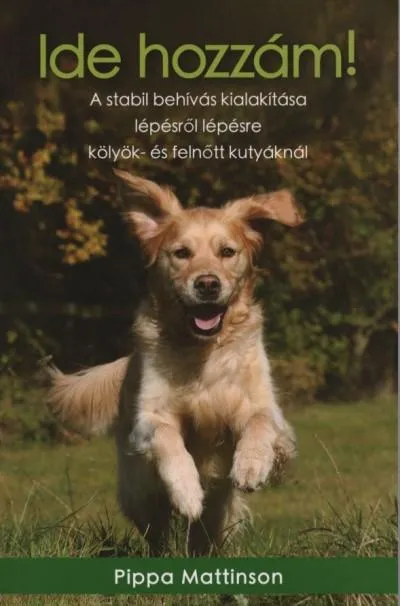 Ide hozzám! - A stabil behívás kialakítása lépésről lépésre kölyök- és felnőtt kutyáknál Árcsökkenés