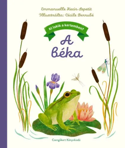 A béka Expressz szállítás