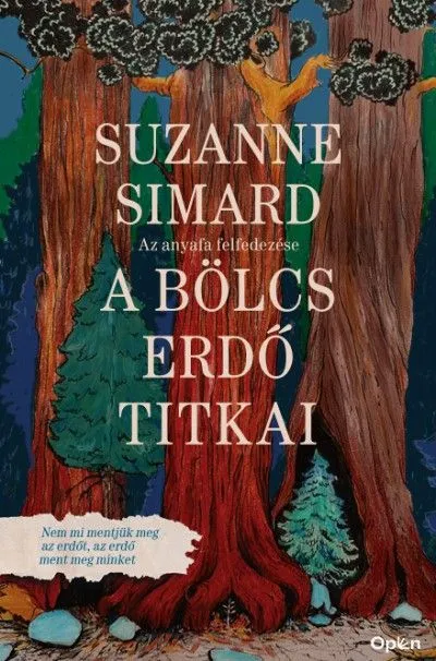 A bölcs erdő titkai - Az anyafa felfedezése Korlátozott ajánlat