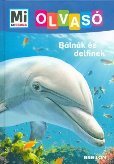 Szuper akció Bálnák és delfinek - Mi MICSODA Olvasó