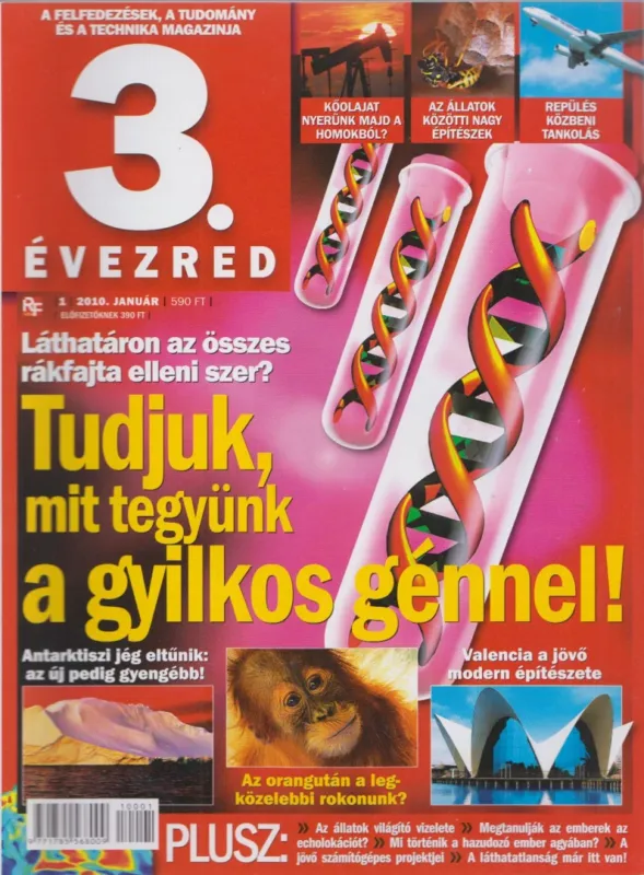 Kiárusítás 3. évezred 2010. január