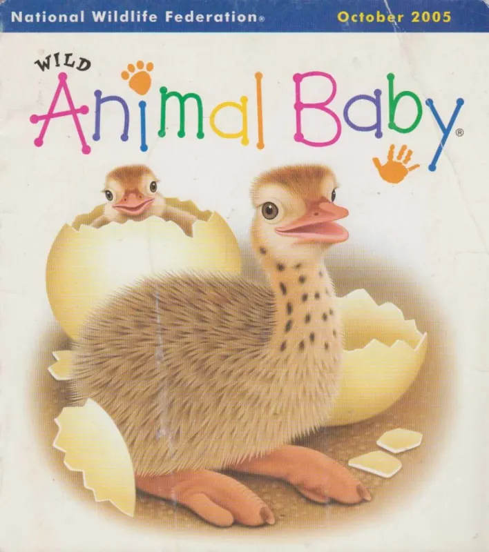 Wild Animal Baby 2005 October Nézd meg most
