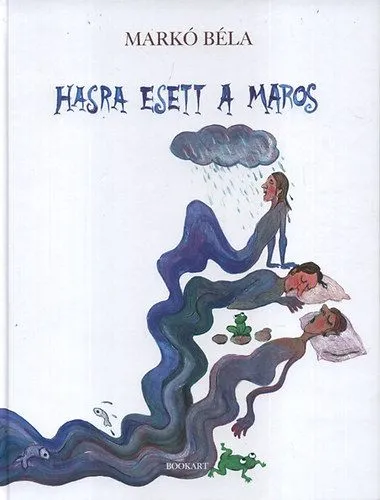 Hasra esett a Maros Újdonság