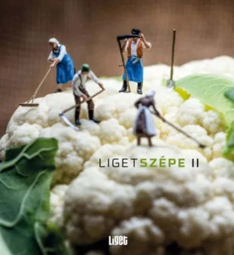 Ligetszépe 2 - ökológiai olvasókönyv Olcsó