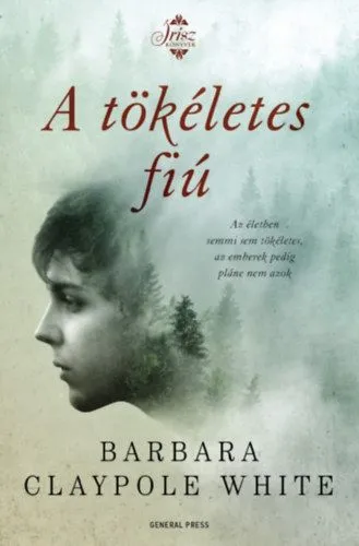 Akciós ár A tökéletes fiú