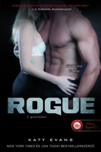 Rogue - A gazember - Valós 4. Árengedmény
