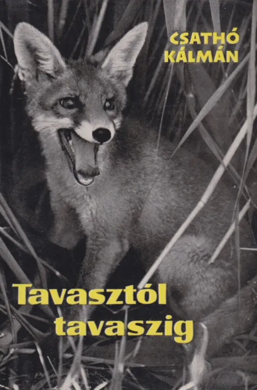 Tavasztól tavaszig Akció