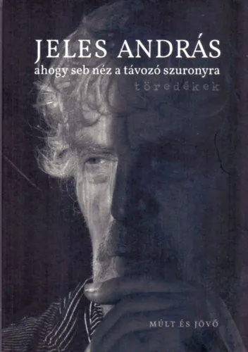 ahogy seb néz a távozó szuronyra - töredékek Olcsó