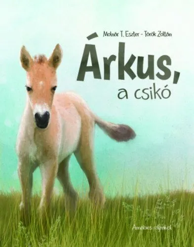 Bestseller Árkus, a csikó