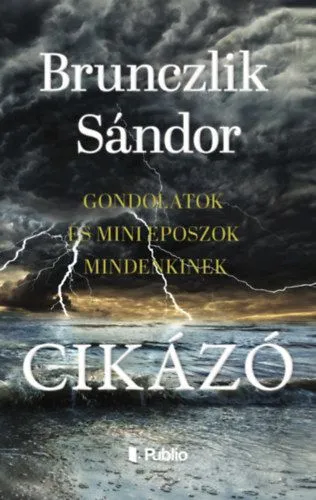 Cikázó - gondolatok és mini eposzok mindenkinek Expressz szállítás