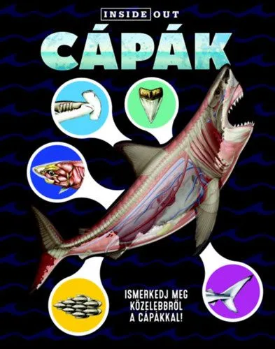 Vedd meg most Cápák - Ismerkedj meg közelebbről a cápákkal!